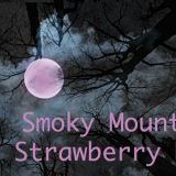 ole smoky moonshine music jam